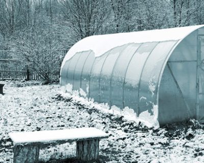 greenhouse-winter