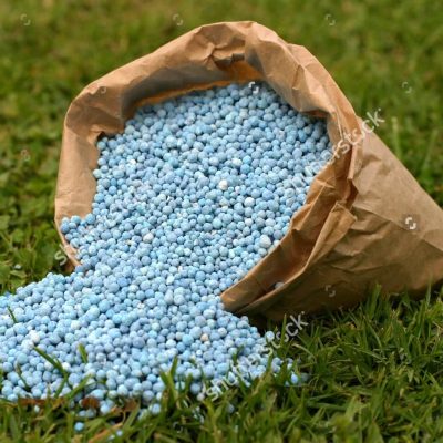 stock-photo-blue-fertilizer-in-brown-paper-bag-on-green-grass-101771737