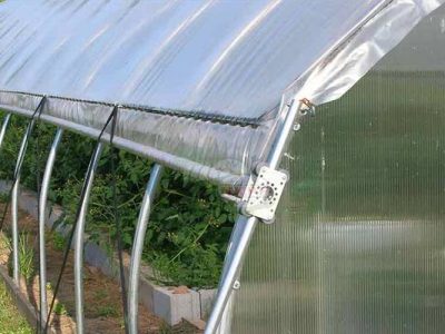 تشخیص پلاستیک گلخانه مرغوب از نامرغوب | 12 تست عملی که هر کشاورز باید بداند + قیمت 1404