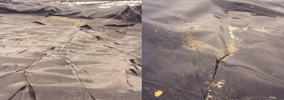 10 نشانه ژئوممبران بی‌کیفیت و نحوه تشخیص ورق استاندارد قبل از نصب