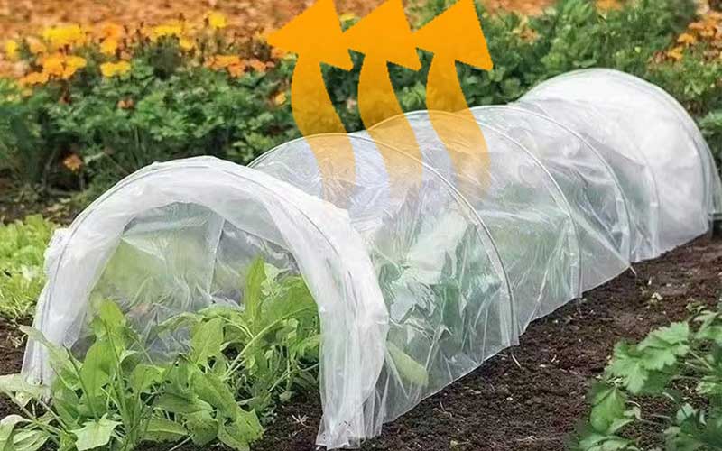 نایلون گلخانه