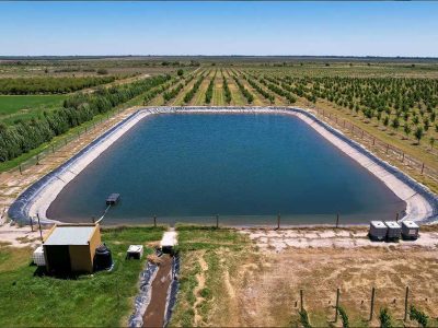 استخر ژئوممبران