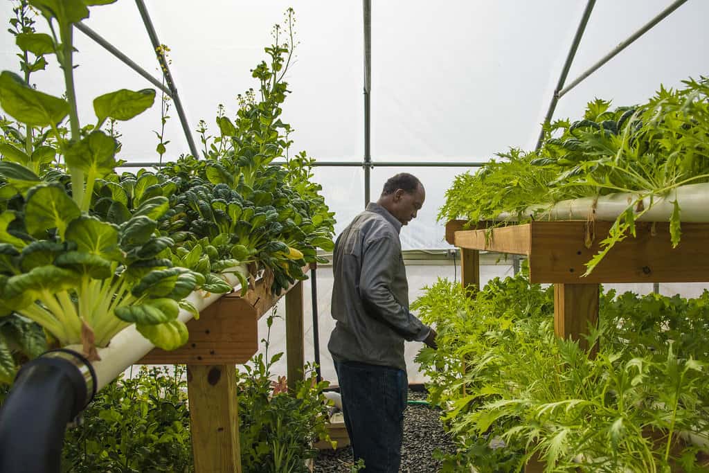 نقش پوشش گلخانه‌ای در مدیریت تبخیر