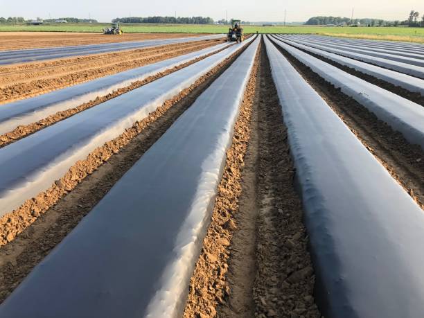 نحوه نصب صحیح مالچ پلاستیکی