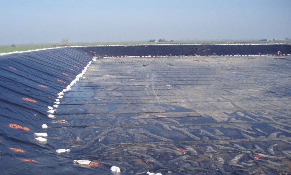 جوانه پوش پارسه