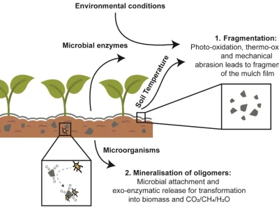 نقش مالچ پلاستیکی در جلوگیری از علف هرز و حفظ رطوبت خاک