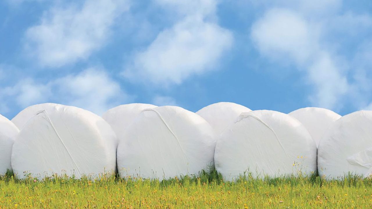 سیلوبگ سه‌لایه جوانه پوش