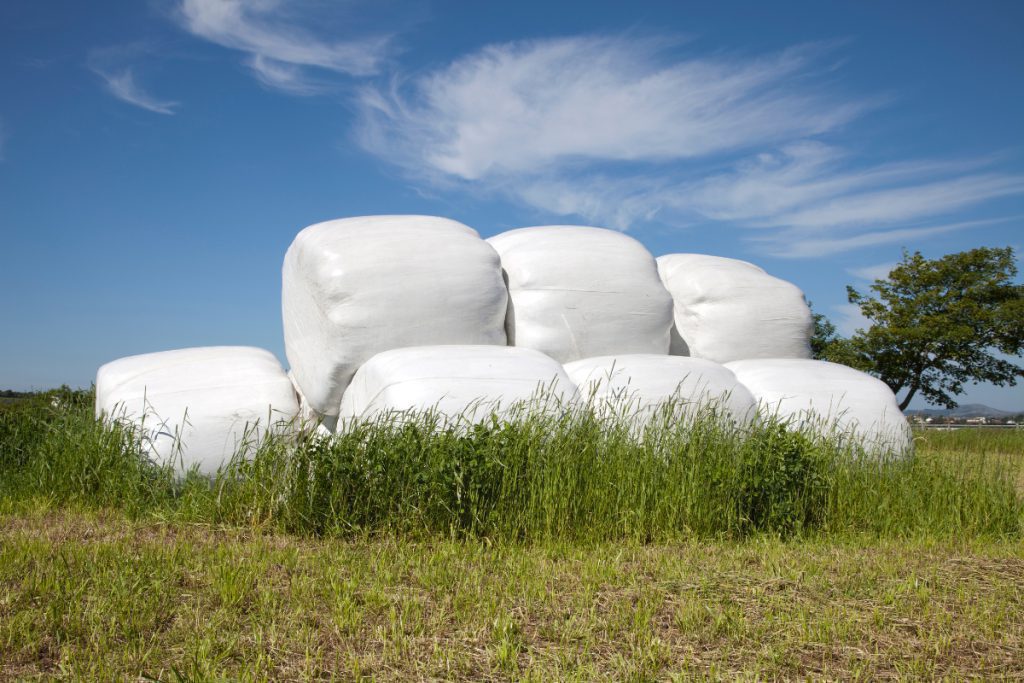 شرکت جوانه پوش