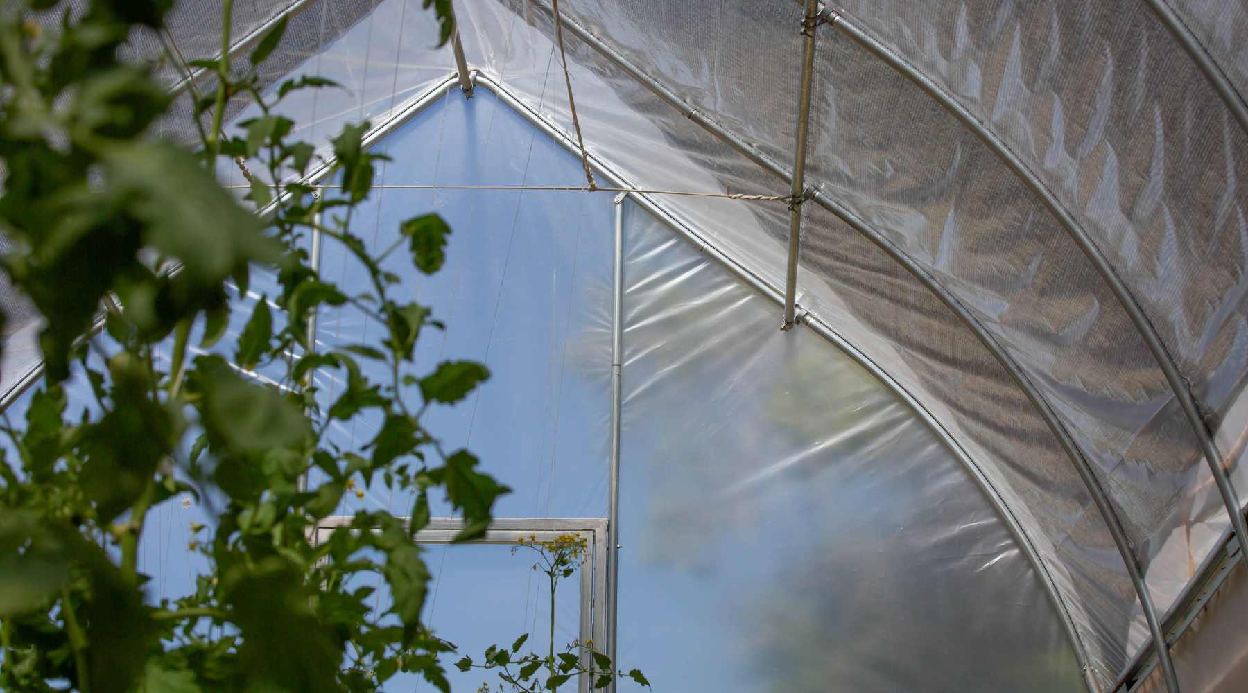 راهنمای گامبهگام نصب صحیح پلاستیک گلخانه برای جلوگیری از پارگی و افت دما