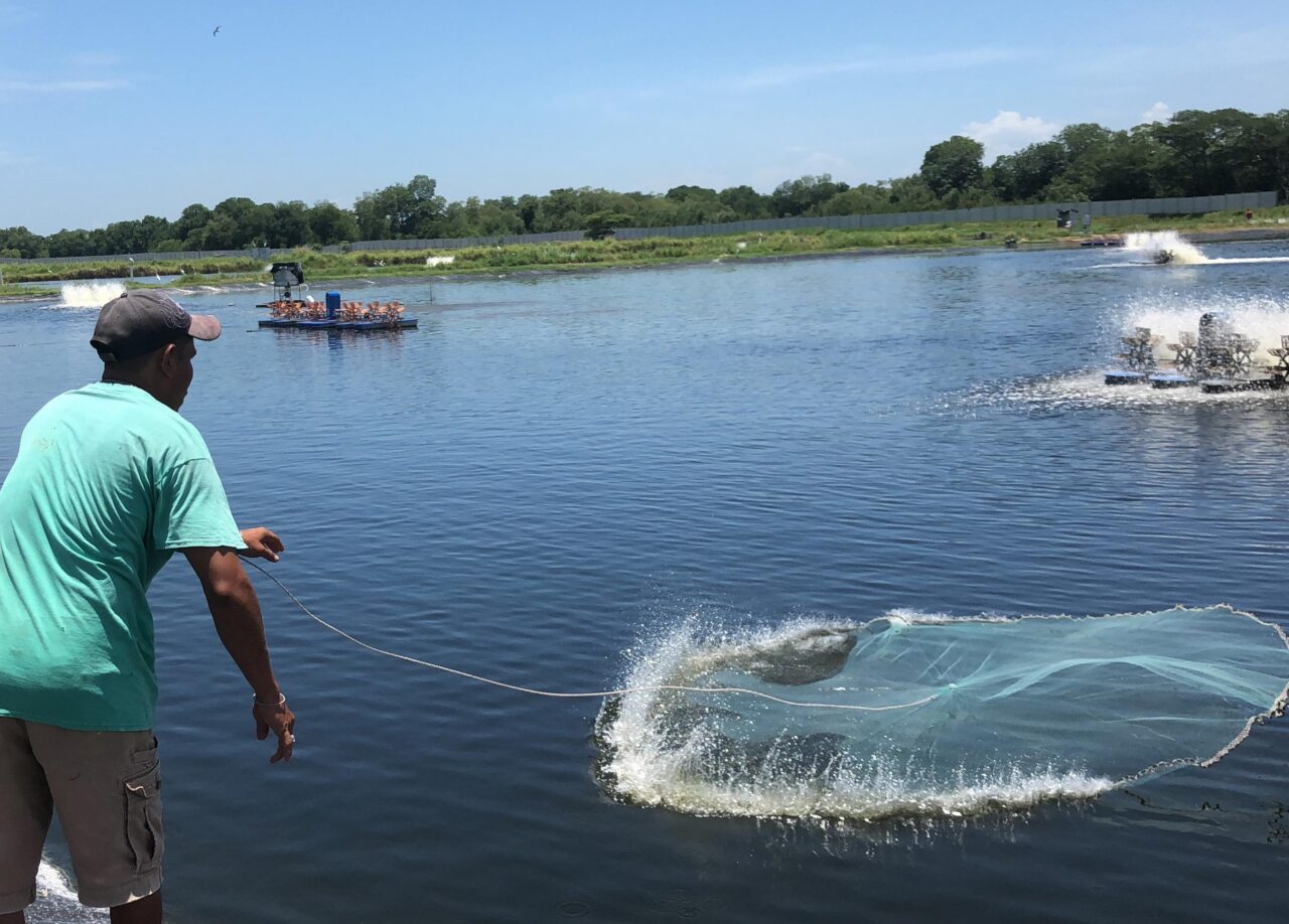 بهترین ضخامت ژئوممبران برای استخر کشاورزی، پرورش ماهی و ذخیره آب