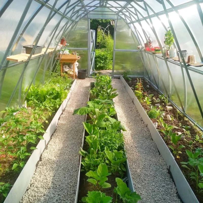 پوشش گلخانه ای