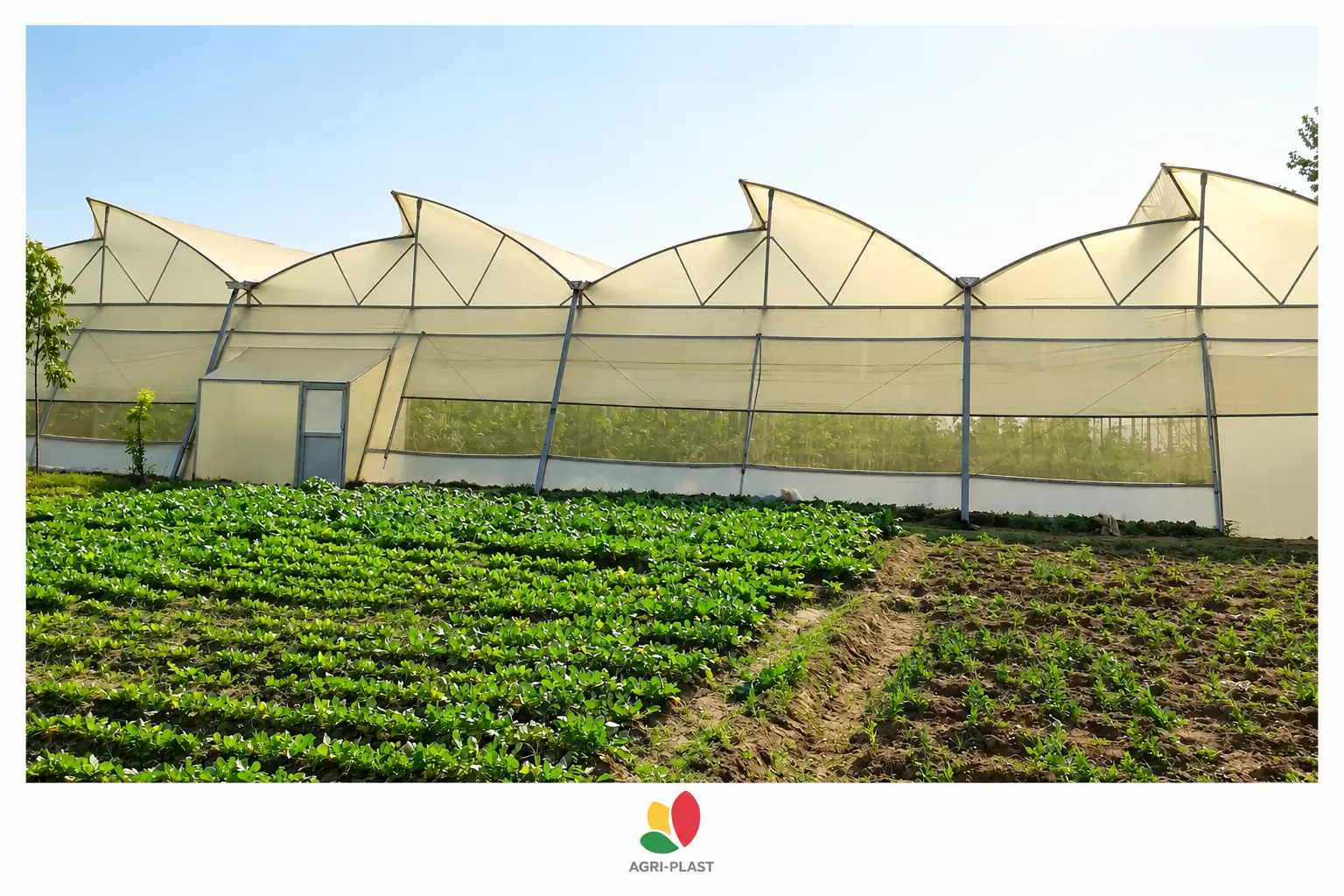 پلاستیک گلخانه AGRI-PLAST